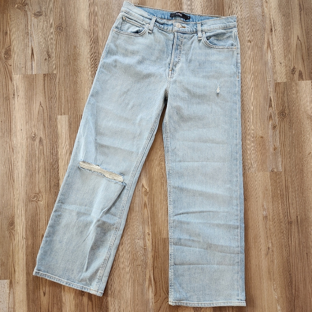 Hudson Jeans Rosie Wide Leg Memory Light Wash